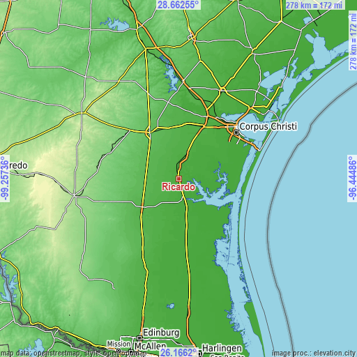 Topographic map of Ricardo