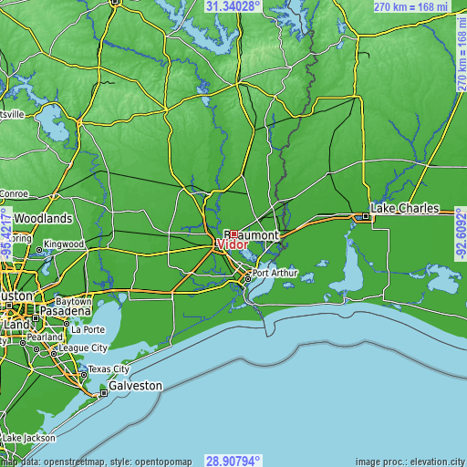 Topographic map of Vidor