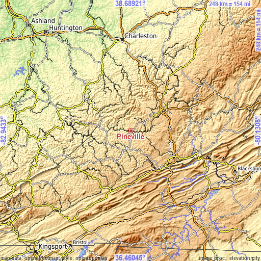 Topographic map of Pineville