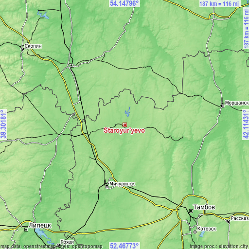 Topographic map of Staroyur’yevo