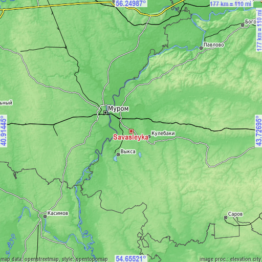 Topographic map of Savasleyka