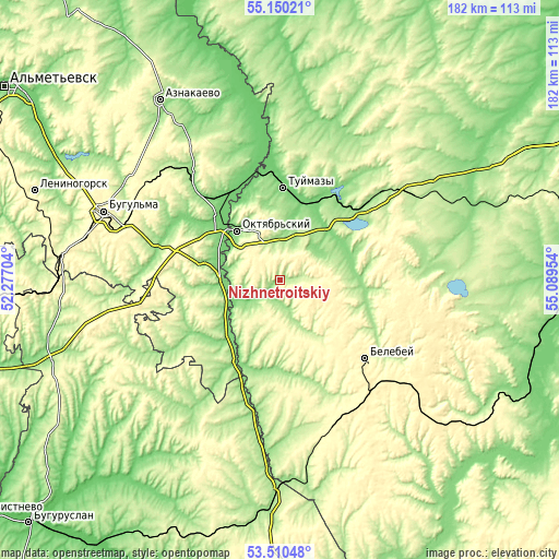 Topographic map of Nizhnetroitskiy