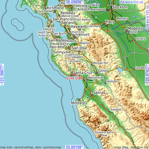 Topographic map of Live Oak