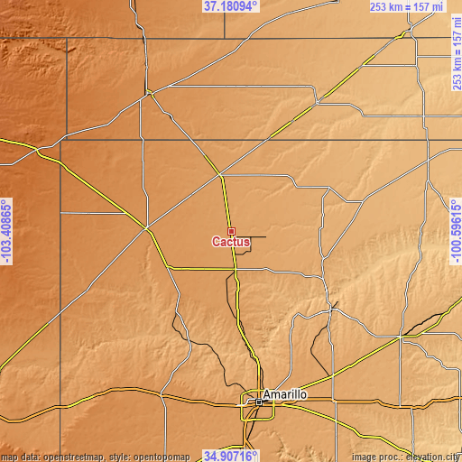 Topographic map of Cactus