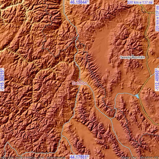 Topographic map of Salmon