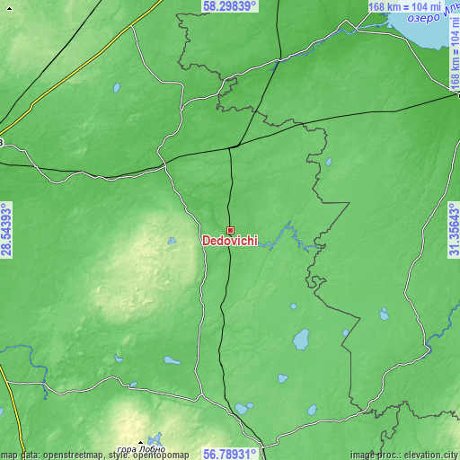 Topographic map of Dedovichi