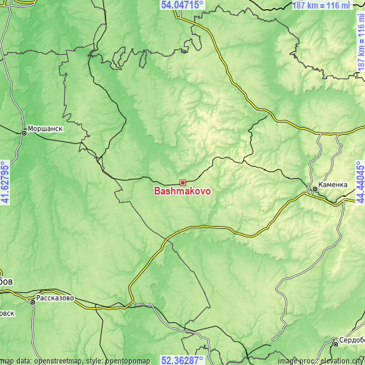 Topographic map of Bashmakovo