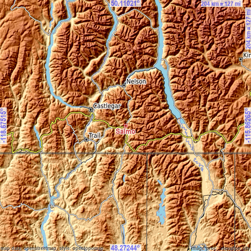 Topographic map of Salmo