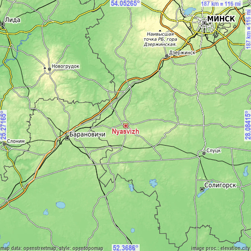 Topographic map of Nyasvizh