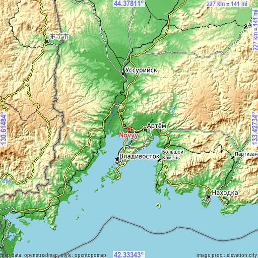 Topographic map of Novyy