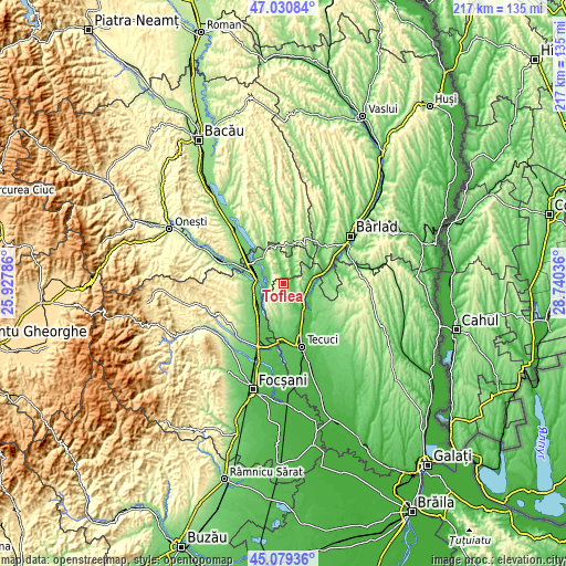 Topographic map of Toflea