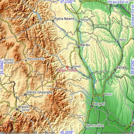 Topographic map of Târgu Trotuş