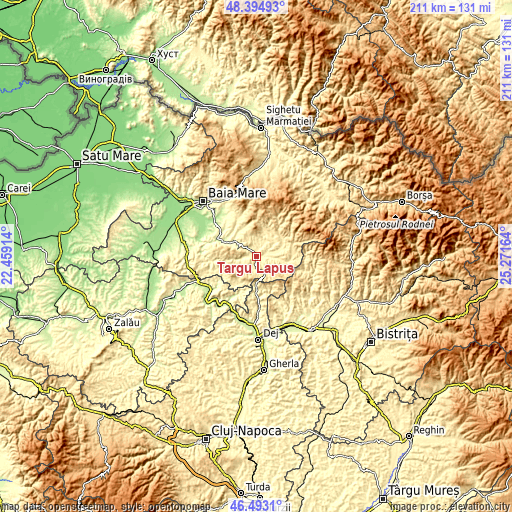 Topographic map of Târgu Lăpuş