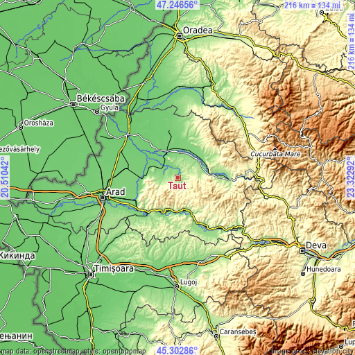 Topographic map of Tauţ