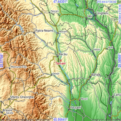 Topographic map of Tamaşi