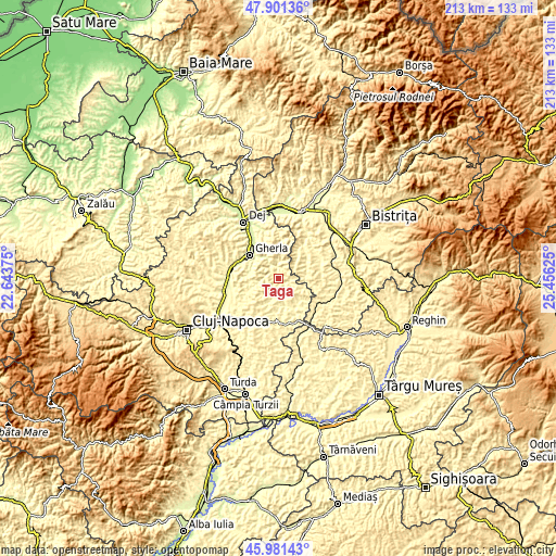 Topographic map of Ţaga