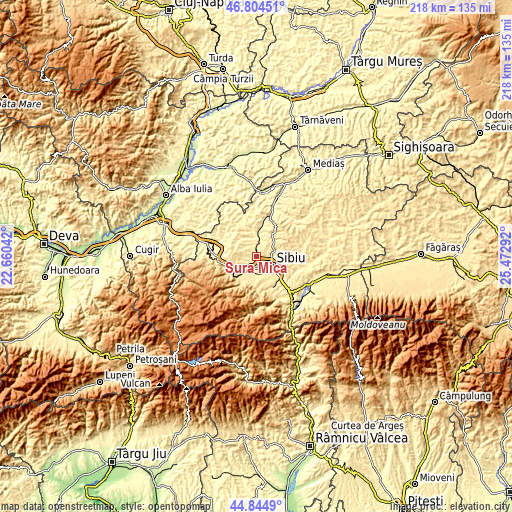 Topographic map of Şura Mică