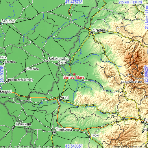 Topographic map of Sintea Mare