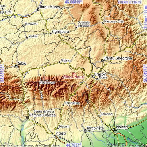 Topographic map of Șinca Nouă