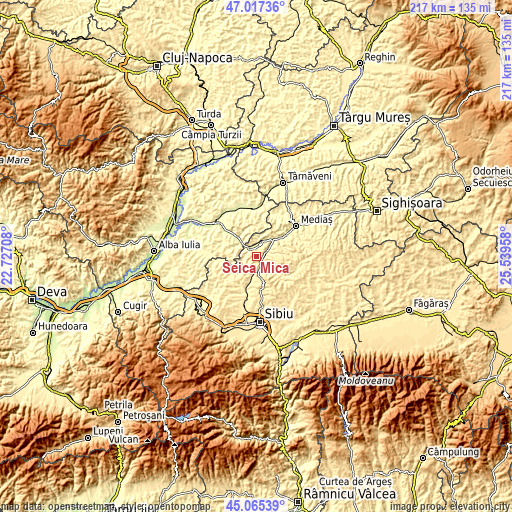 Topographic map of Şeica Mică