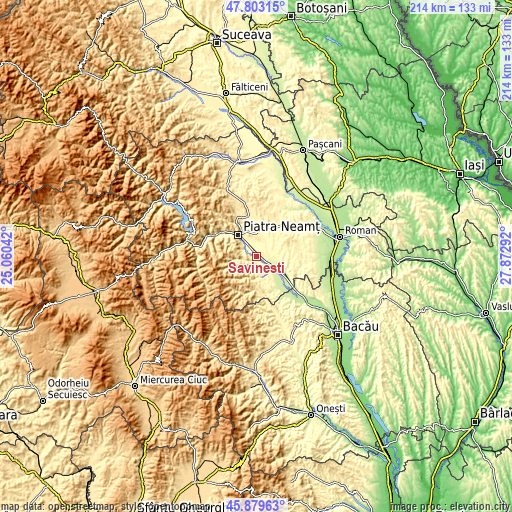 Topographic map of Săvineşti