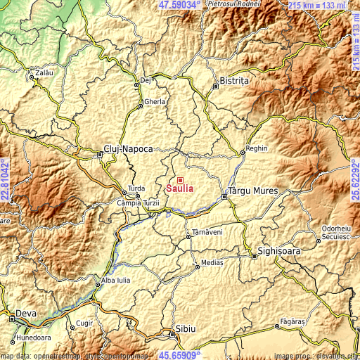 Topographic map of Şăulia