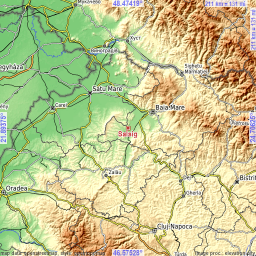 Topographic map of Sălsig