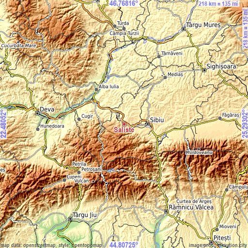 Topographic map of Sălişte