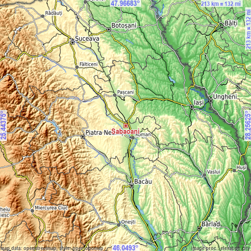 Topographic map of Săbăoani