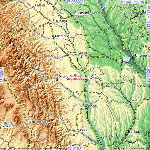 Topographic map of Ruginoasa