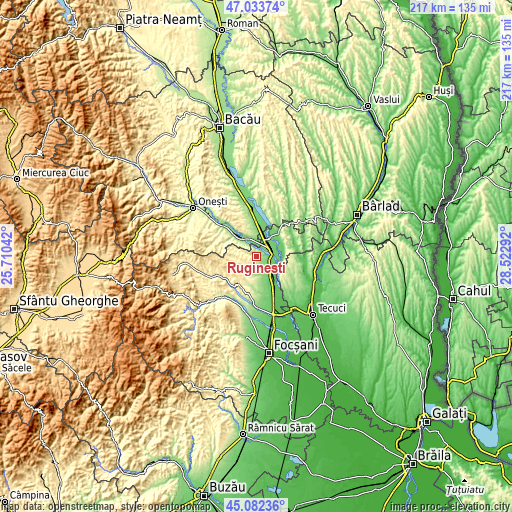 Topographic map of Rugineşti