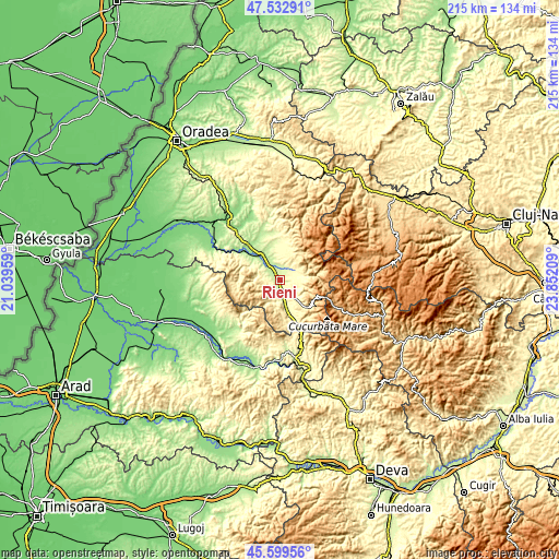 Topographic map of Rieni