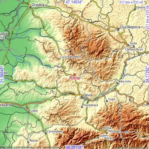 Topographic map of Ribiţa
