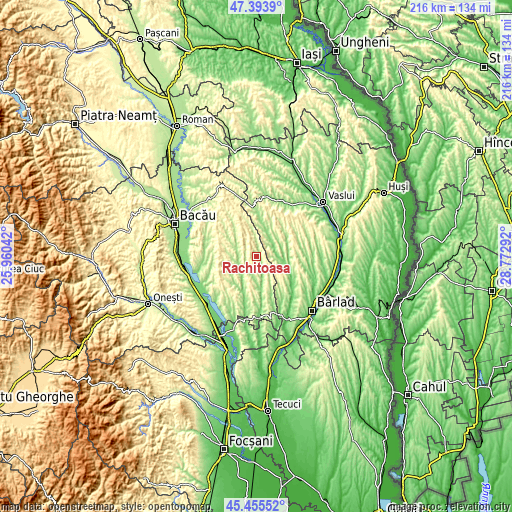 Topographic map of Răchitoasa