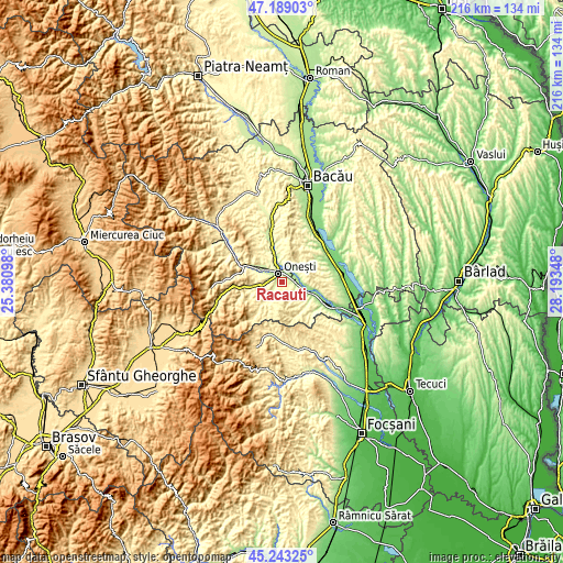 Topographic map of Răcăuți