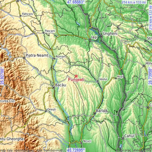 Topographic map of Pungeşti