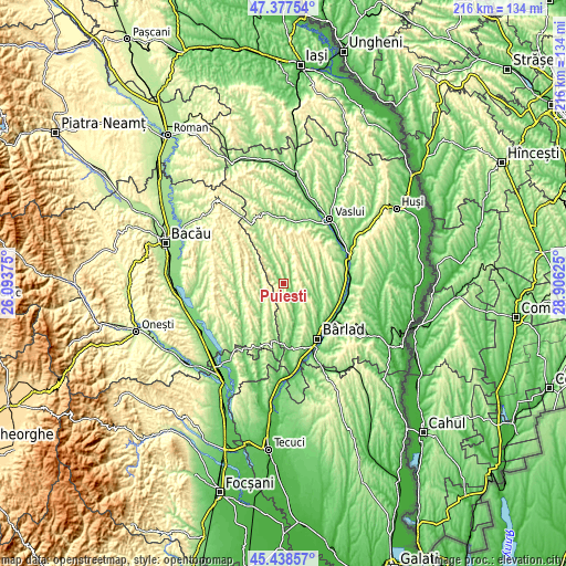 Topographic map of Puieşti