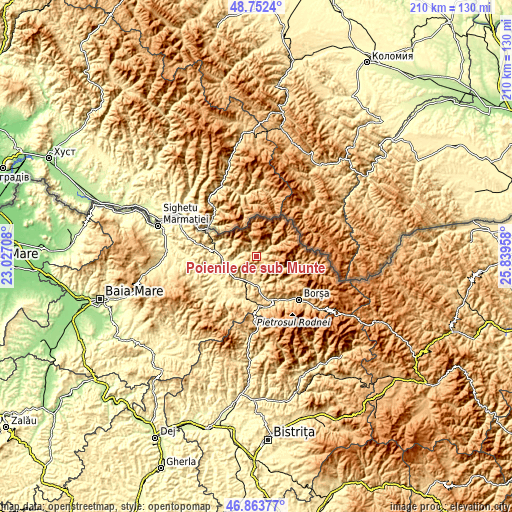 Topographic map of Poienile de sub Munte