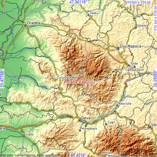 Topographic map of Poiana Vadului