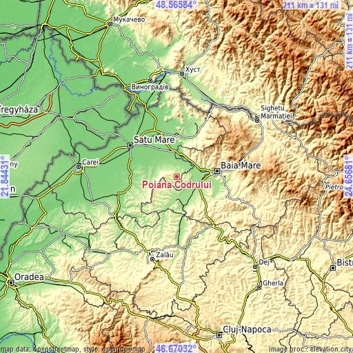 Topographic map of Poiana Codrului