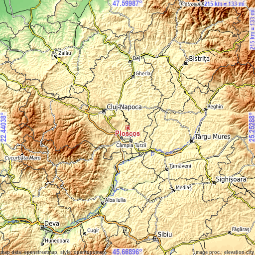 Topographic map of Ploscoș