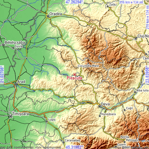 Topographic map of Pleşcuţa