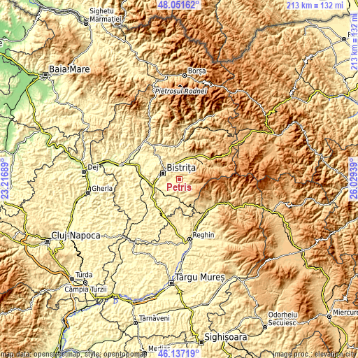 Topographic map of Petriș