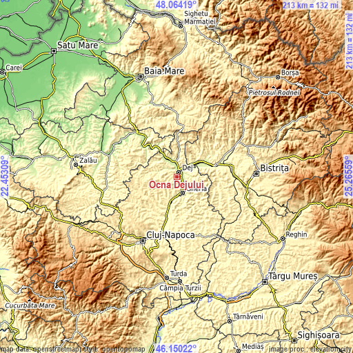 Topographic map of Ocna Dejului