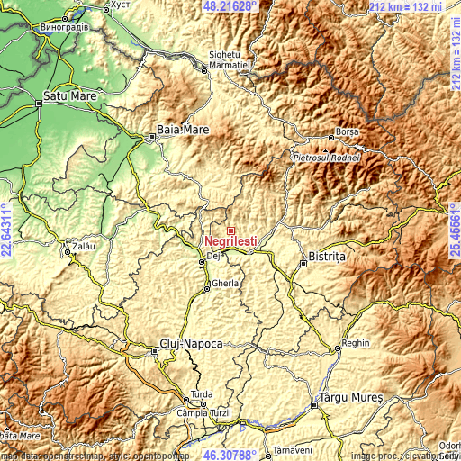 Topographic map of Negrilești