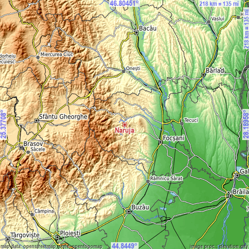 Topographic map of Năruja