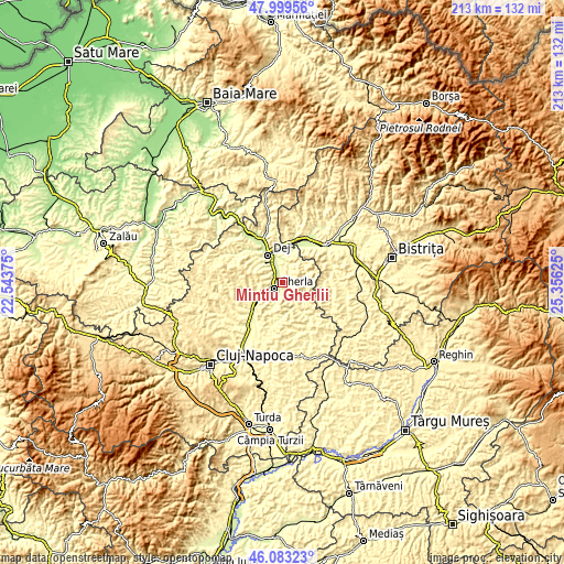 Topographic map of Mintiu Gherlii