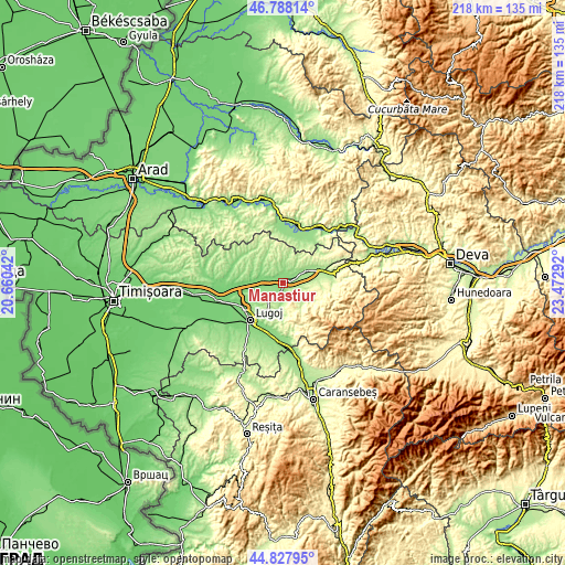 Topographic map of Mănăştiur