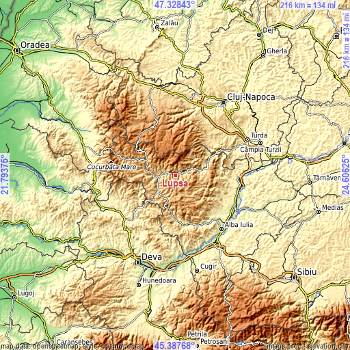 Topographic map of Lupşa