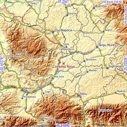 Topographic map of Lopadea Nouă